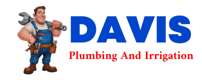 Trusted plumber in SARLES